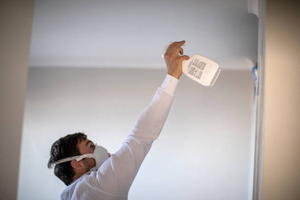 Best Mold Testing  in Sa Conejo, CA