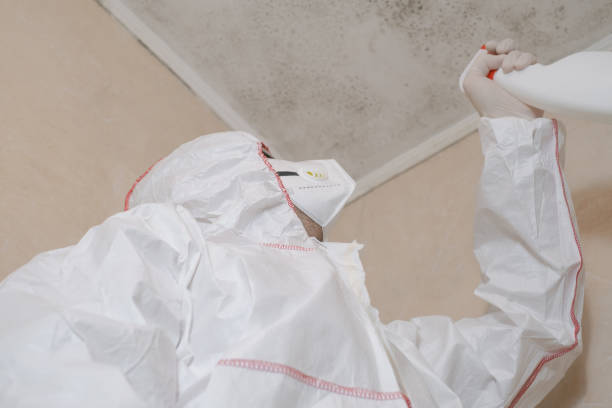 Best Attic Mold Removal  in Sa Conejo, CA